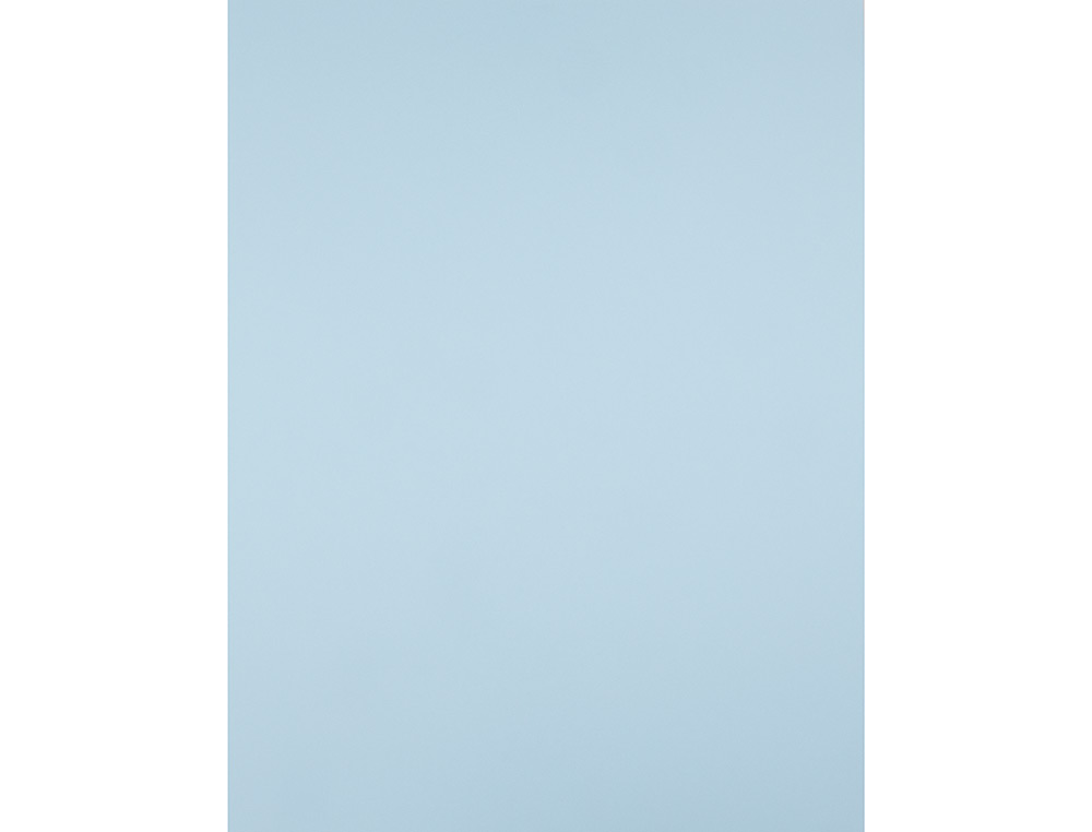 CARTULINA LIDERPAPEL 50X65 CM 240G/M2 AZUL PAQUETE DE 25 HOJAS